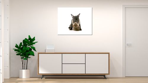 Obraz Płótno 50X40 Szczenięca Miłość na Arena.pl