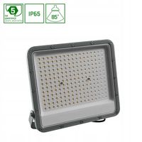 Naświetlacz halogen LED NOCTIS CW b.zimna 85st 150W IP65 304x269x38mm szary