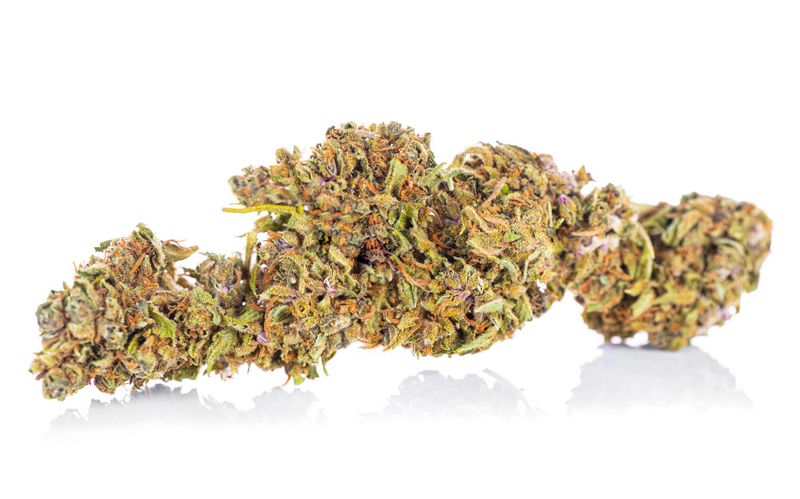 Susz konopny CBD Purple Haze 2 g zdjęcie 4