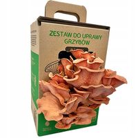 Boczniak różowy MUSHROOMS GROW KIT gotowy zestaw