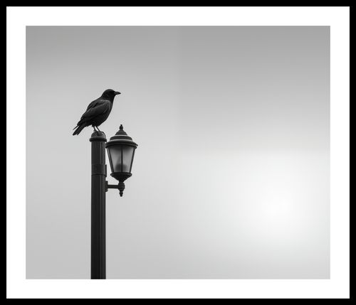 Plakat 60x50cm Samotny Postój Kruka na Arena.pl