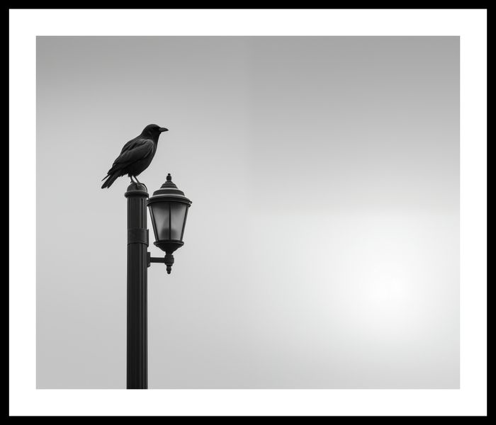 Plakat 60x50cm Samotny Postój Kruka zdjęcie 3