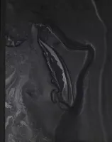 Wyzwolone siły. Angelika Markul i współczesny demonizm