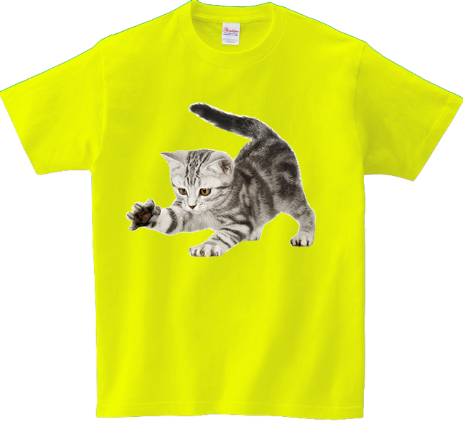 Koszulka T-shirt Kot zdjęcie 1