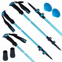 Kijki kije trekkingowe składane Viking Shiva