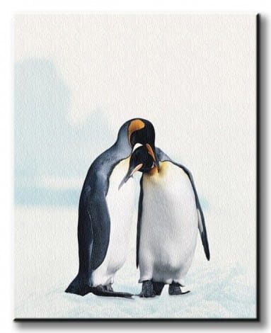 King Penguin Pingwiny - Obraz na płótnie 40x50 cm na Arena.pl