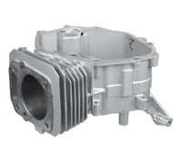 CYLINDER CEDRUS SILNIK Y196VE 480509
