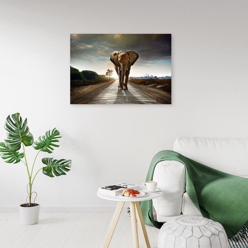 Deco Panel, Słoń na drodze 60x40 na Arena.pl