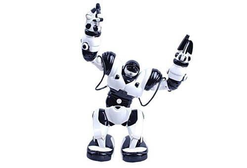 Robone RTR Robot zdalnie sterowany, programowanie ruchów na Arena.pl