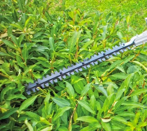 NAC PIŁA NOŻYCE AKUMULATOROWE Na wysięgniku Z REGULACJĄ DŁUGOŚCI 18V na Arena.pl