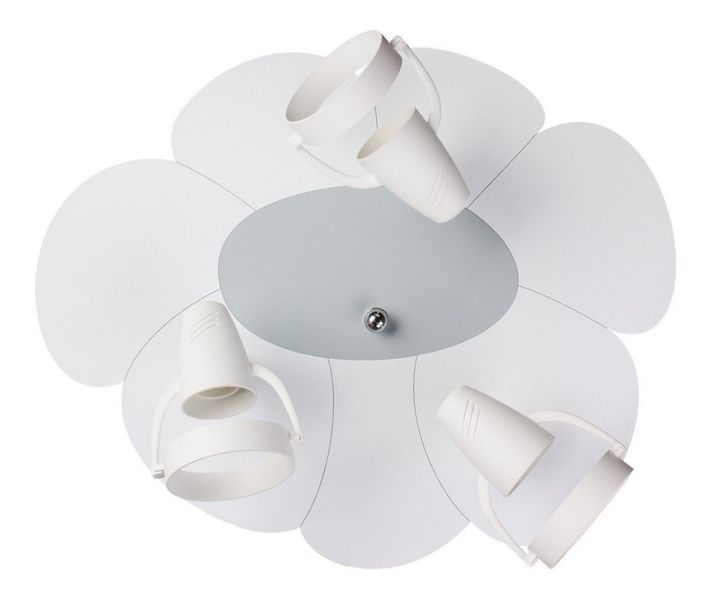 Płatek 5244412 zdjęcie 1