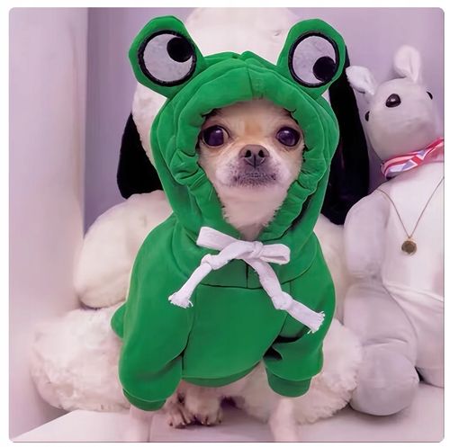 UBRANIE PRZEBRANIE DLA PSA KOTA BLUZA Z KAPTUREM ZIELONA ŻABA S na Arena.pl