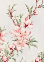 Plakat 50x70cm Peach Tree, Morikaga Japoński Vintage