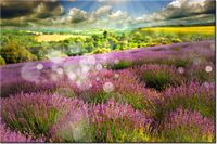 100 70CM OBRAZ PŁÓTNO SŁONECZNY KRAJOBRAZ PŁÓTNO RAMA