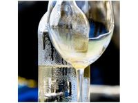 50X50CM ORZEŹWIENIE JENNY DOWNING OBRAZ