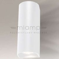 Kinkiet LAMPA ścienna UDA 7459 Shilo przyścienna OPRAWA metalowa biała passa