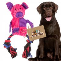 Zabawka dla psa INTERAKTYWNA 3w1 SZELESZCZĄCA i piszcząca ze sznurem