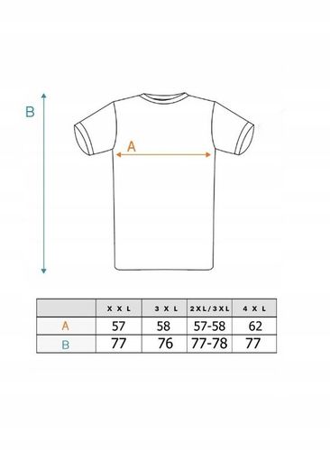 Piękna BLUZKA T-shirt Dużo Kolorów Rozmiarów na Arena.pl