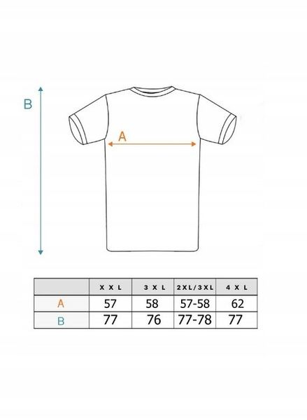 Piękna BLUZKA T-shirt Dużo Kolorów Rozmiarów zdjęcie 3