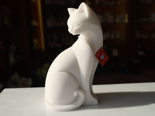 Kot duży na Arena.pl