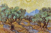 Plakat 91,5x61cm Olive Trees, Van Gogh Vintage do Salonu