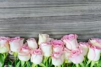 product-compare-62142639