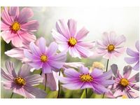 120CM 80CM OBRAZ ŚCIENNY DELIKATNE KWIATY