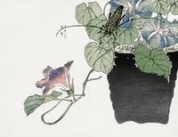 Plakat 65x50cm Chrząszcz Tnący Papier Morimoto Toko Japoński Vintage do Sal