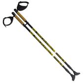 Kije treningowe Nordic Walking NW603 Nils Extreme