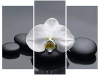 product-compare-58672606