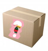 Mystery BOX Kup Kota w worku niespodzianka ciekawe co jest pudełku prezent