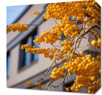 Obraz 40x40cm Złote Jagody