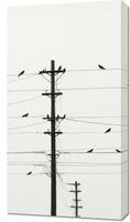 Obraz 50x90cm Symfonia na Drutach