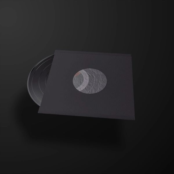 ++ Koperty antystatyczne PREMIUM CZARNE na płyty winylowe 50 szt zdjęcie 2