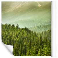 Fototapeta 3D Las Drzewa Widoki NATURA do Salonu 368cm x 254cm
