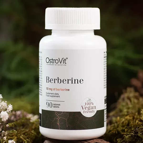 Berberine 90 Tabs - Ostrovit zdjęcie 1