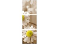 90X30CM RUMIANEK POSPOLITY TRÓJ OBRAZ DRUK