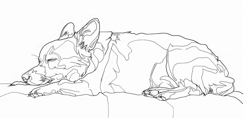 Plakat 91,3x44,5cm Śpiący Psiak zdjęcie 1