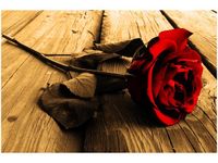 60X40CM RÓŻA SEPII OBRAZ