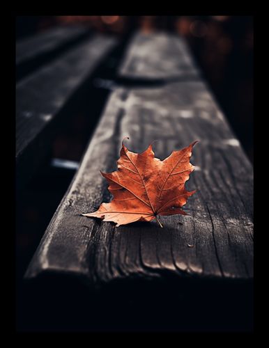 Plakat 15x20cm Pojedynczy Liść na Arena.pl