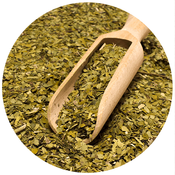Verde Mate Green Organica 50 g zdjęcie 4