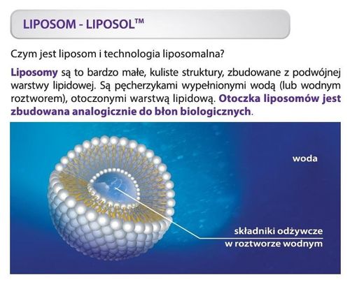 Liposomalna Witamina B COMPLEX 100% 250ml LIPOSOL ALINESS na Arena.pl
