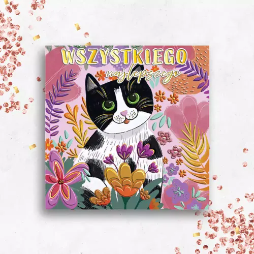 Karnet Kwadratowy, Kot Fioletowy na Arena.pl