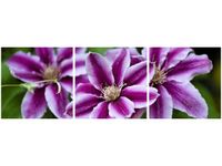 90X30CM KWIATY AZALII TRÓJ OBRAZ