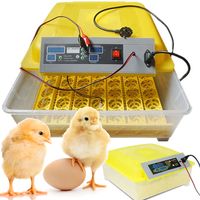 INKUBATOR DO JAJ WYLĘGARKA AUTOMATYCZNA 56 JAJ 80W