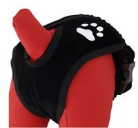 Bawełniane majtki dla suczki w cieczce - Grande Finale Paw Rozmiar 4 Czarne