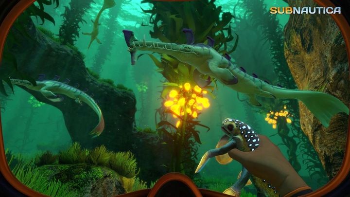 SUBNAUTICA - PL - PS4 / PS5 - Płyta Blu-ray zdjęcie 3