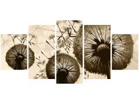 product-compare-58641255