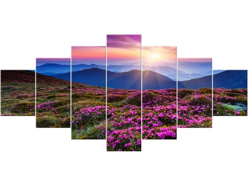 Obraz drukowany płótno 7 elementów 210x100 GRATIS na Arena.pl