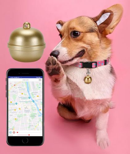 Lokalizator GPS obroża psa aplikacja Android iOS na Arena.pl